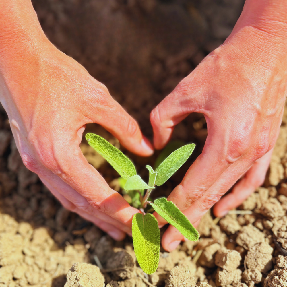 Valentínsky balíček-1497